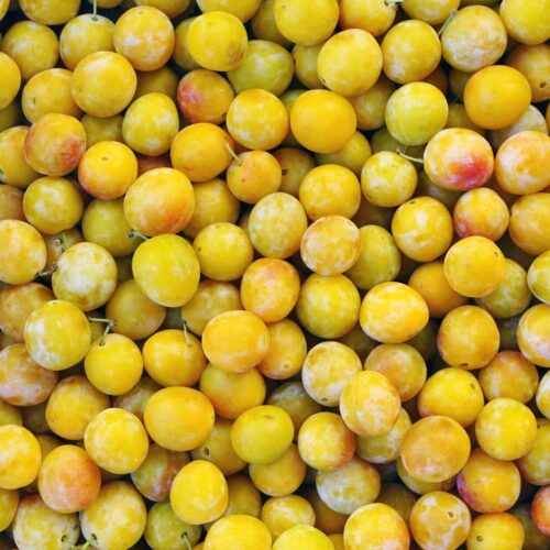 Mirabelles