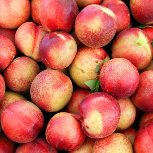 Nectarines blanches