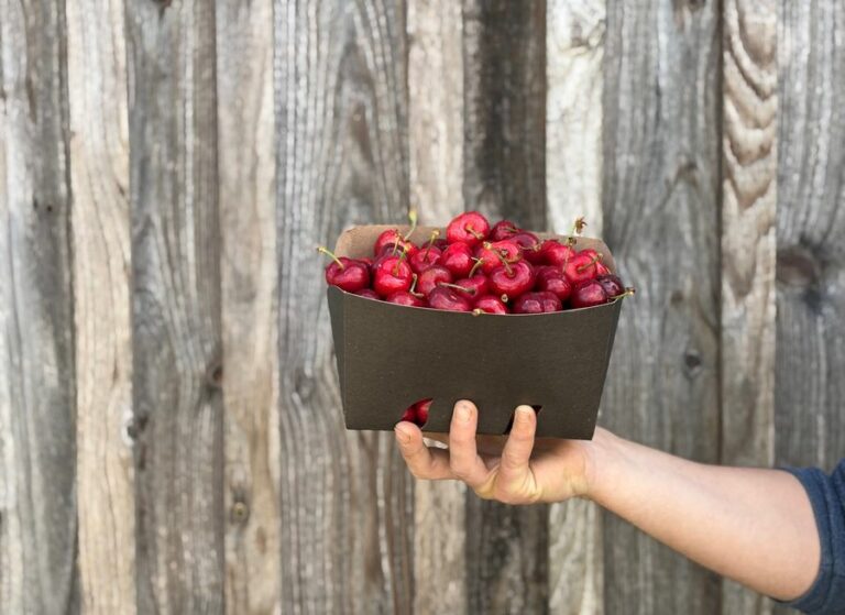 1kg Cerises - Fruits frais - Jardins de Garonne