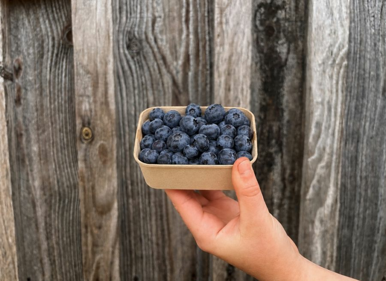 250g myrtille - Fruits frais - Jardins de Garonne