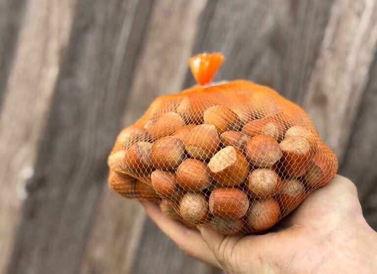 500g noisettes - Épicerie frais - Jardins de Garonne