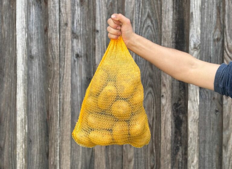 5kg pomme de terre Monalisa - Légumes frais - Jardins de Garonne