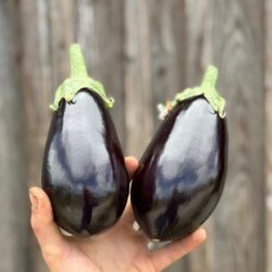 Aubergines - Légumes frais - Jardins de Garonne