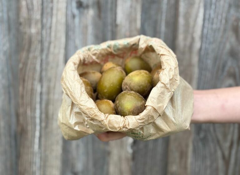 Kiwis jaunes - Fruits frais - Jardins de Garonne