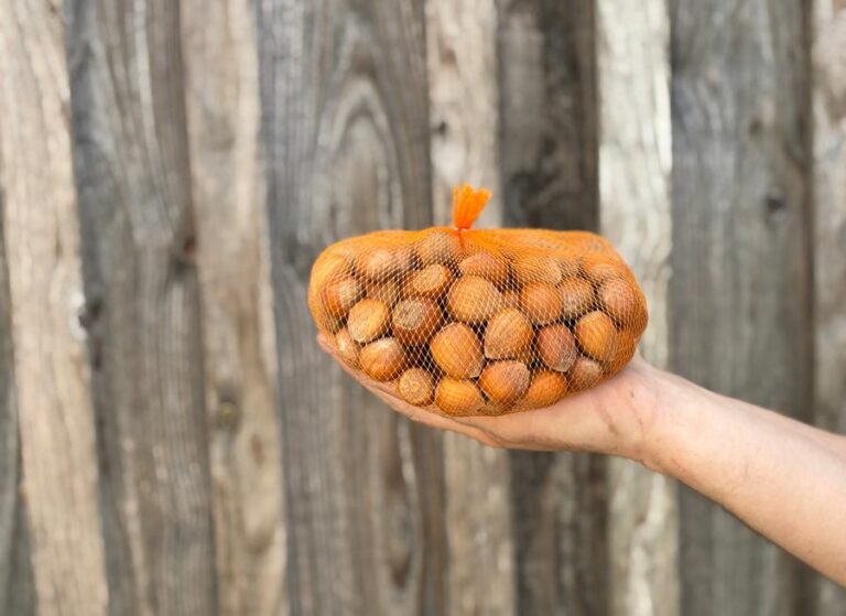 noisettes - Épicerie frais - Jardins de Garonne
