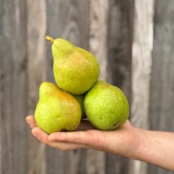 Poire Guyot - Fruits frais - Jardins de Garonne