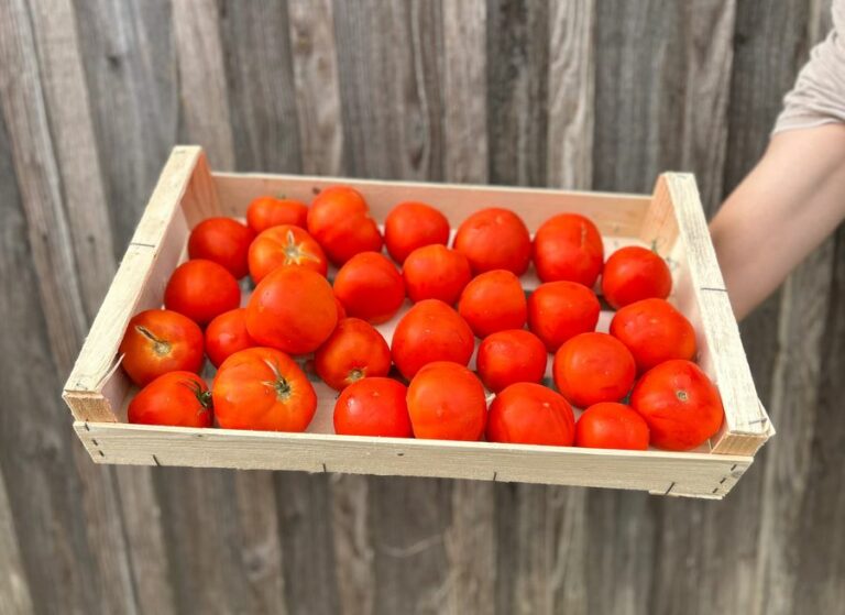 3Kg de Paola - Légumes frais - Jardins de Garonne
