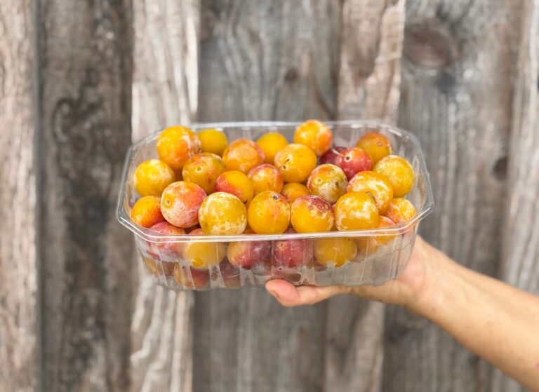 500 g mirabelle - Fruits frais - Jardins de Garonne