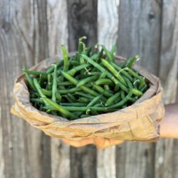 Haricots machine - Légumes frais - Jardins de Garonne