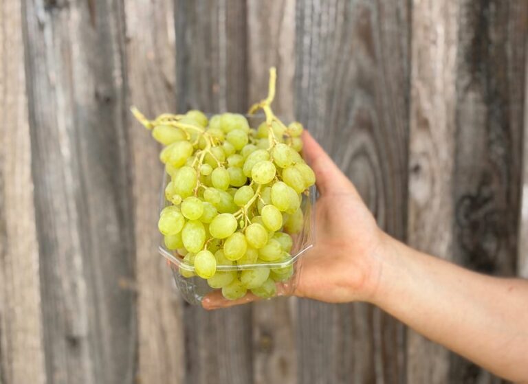 Raisin centennial (sans pépin) - Fruits frais - Jardins de Garonne