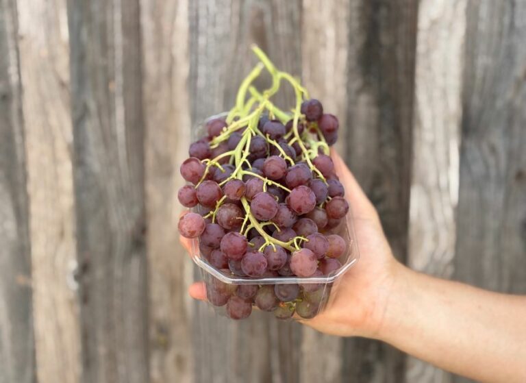 Raisin rouge (sans pépin) - Fruits frais - Jardins de Garonne