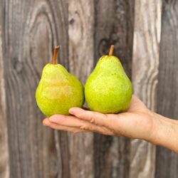 Poire Wiliam - Fruits frais - Jardins de Garonne
