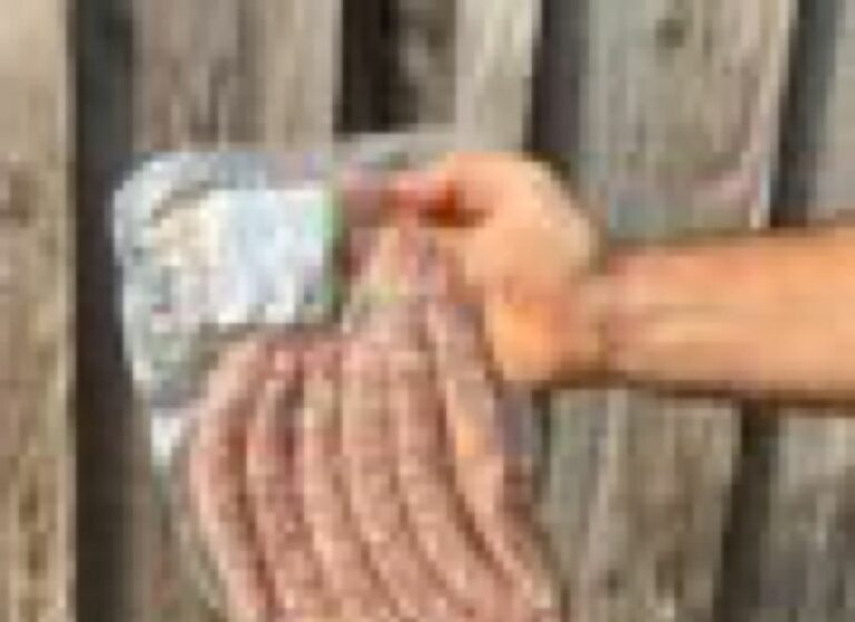 Chipolatas par 6 - Viande frais - Jardins de Garonne