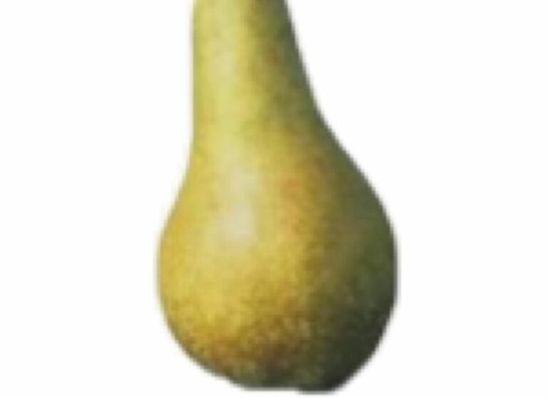 Jus de poire - Épicerie frais - Jardins de Garonne