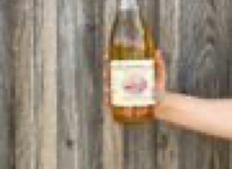 Jus de pomme - Épicerie frais - Jardins de Garonne