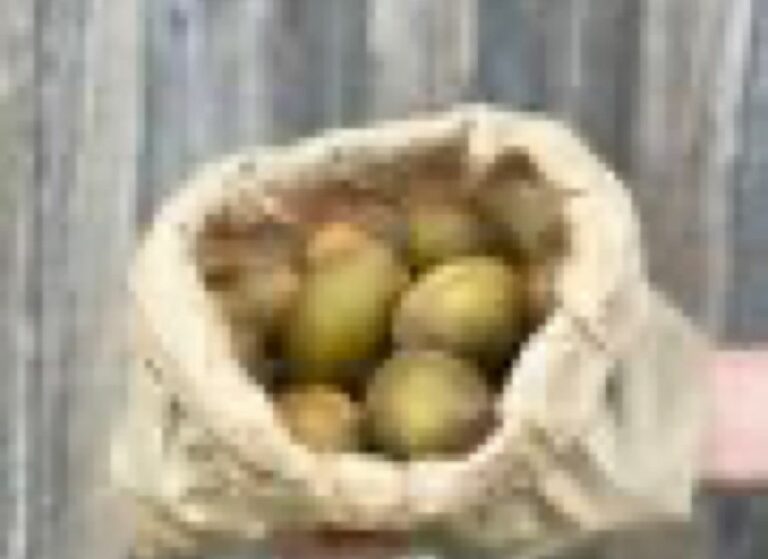 Kiwis jaunes - Fruits frais - Jardins de Garonne