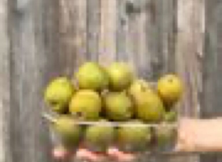 Kiwis rouge - Fruits frais - Jardins de Garonne