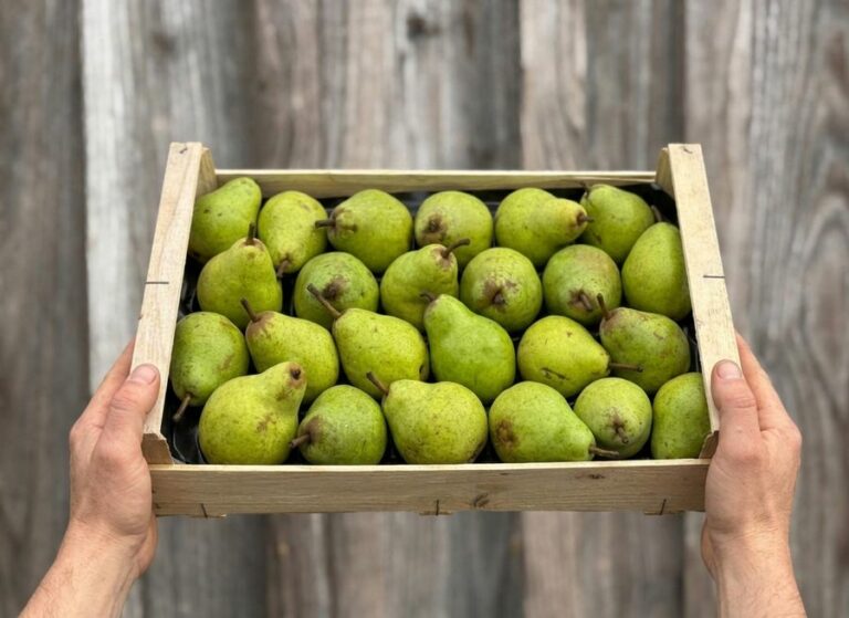 Plateau de poires - Fruits frais - Jardins de Garonne